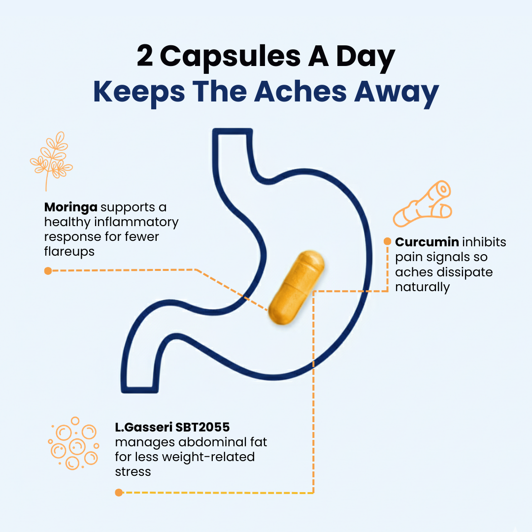 Provitalize | Best Natural Menopause Probiotic BB Company