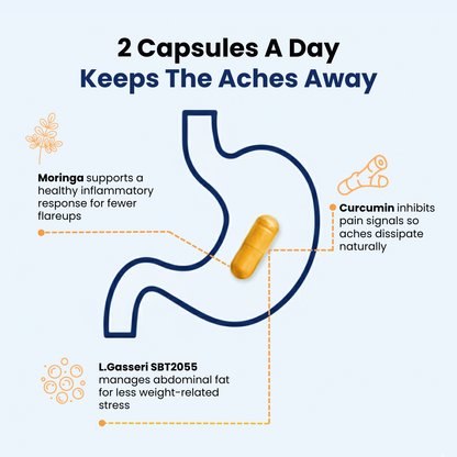 Provitalize | Best Natural Menopause Probiotic BB Company
